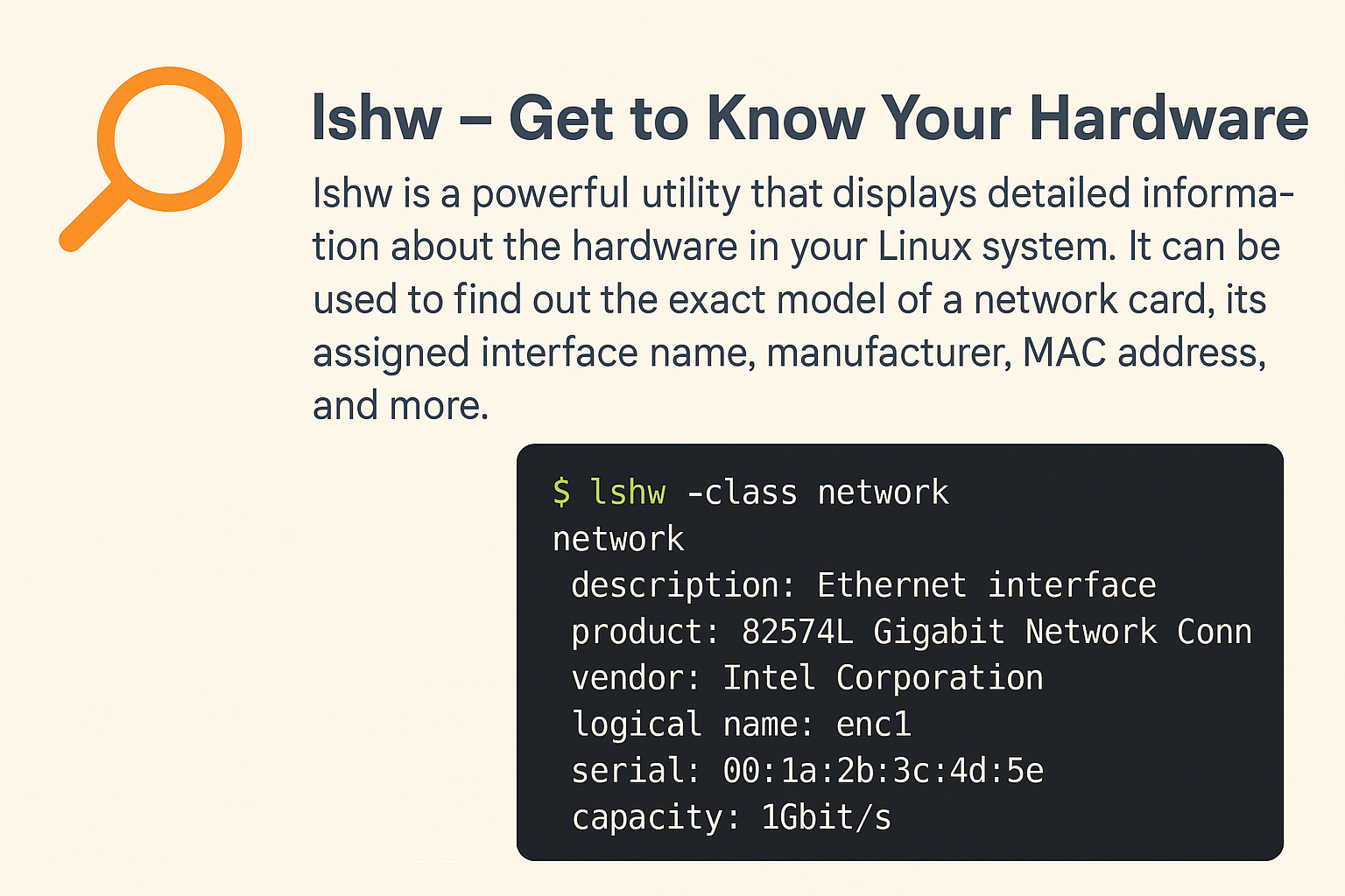 How to Check Which Names Are Assigned to NICs in Linux